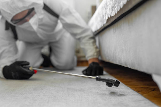 Professional Bed Bug Control technician working in Red Lake Falls, MN